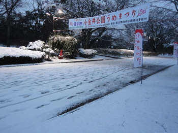 雪の梅まつり.JPG